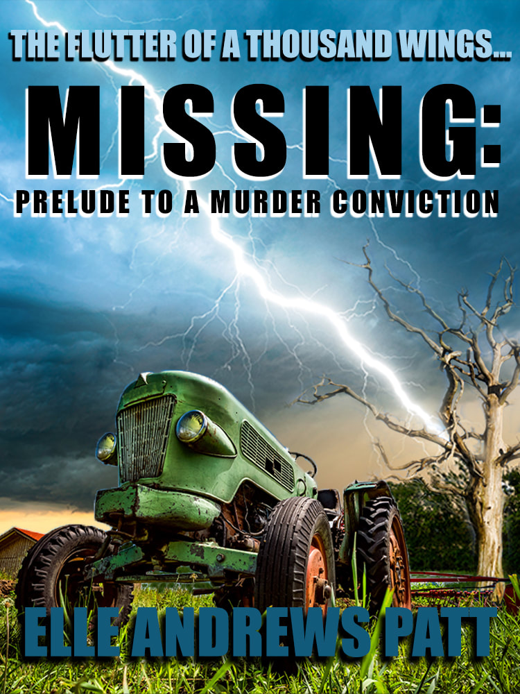 Missing: Prelude To A Murder Conviction (short story)